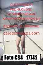 CS4_17742-