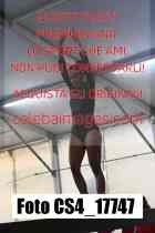 CS4_17747-