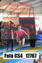 CS4_17767-