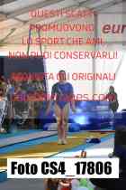 CS4_17806-