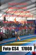 CS4_17808-