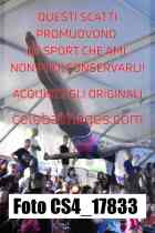 CS4_17833-