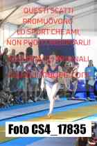 CS4_17835-