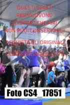 CS4_17851-