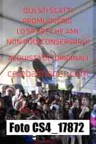 CS4_17872-