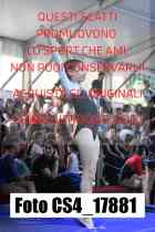 CS4_17881-