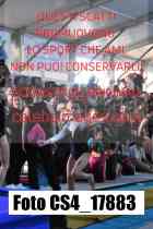 CS4_17883-