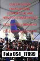 CS4_17899-