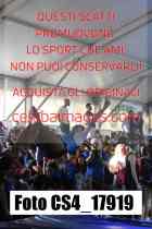 CS4_17919-