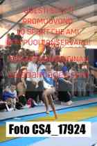 CS4_17924-