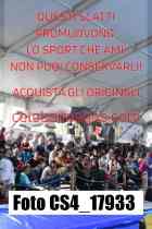 CS4_17933-