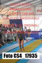 CS4_17935-