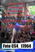 CS4_17964-