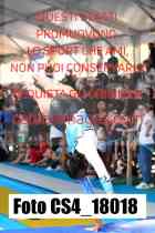 CS4_18018-