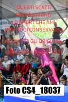 CS4_18037-