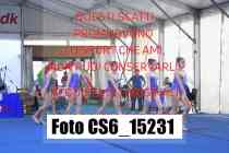CS6_15231-
