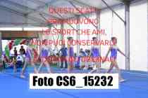 CS6_15232-