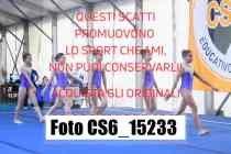 CS6_15233-