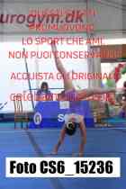 CS6_15236-