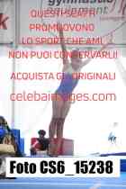 CS6_15238-