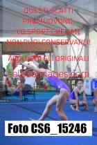 CS6_15246-