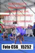 CS6_15252-