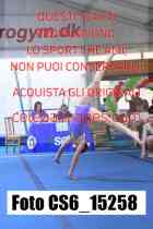 CS6_15258-