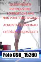 CS6_15260-