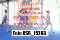 CS6_15263-