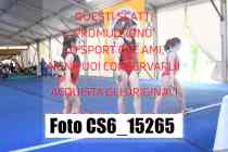CS6_15265-