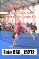 CS6_15272-