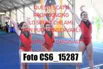 CS6_15287-