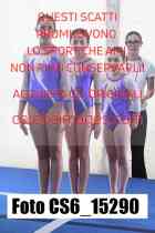 CS6_15290-