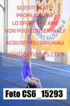 CS6_15293-