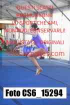 CS6_15294-