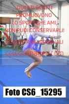 CS6_15295-