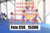 CS6_15306-