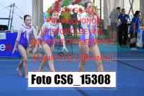CS6_15308-