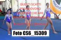 CS6_15309-