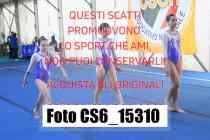 CS6_15310-