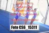 CS6_15311-
