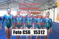 CS6_15312-