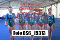 CS6_15313-
