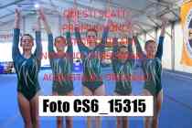 CS6_15315-