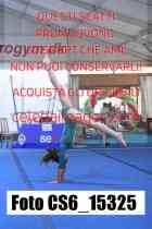 CS6_15325-