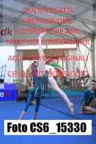 CS6_15330-