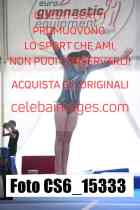 CS6_15333-