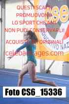 CS6_15336-