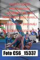 CS6_15337-