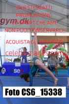 CS6_15338-